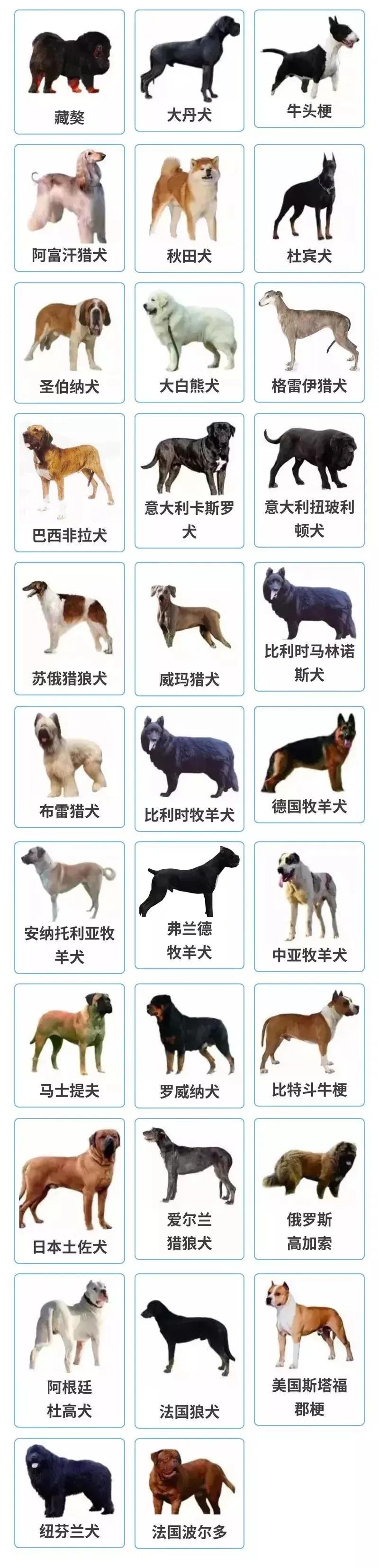 微信图片_20200611171420.jpg