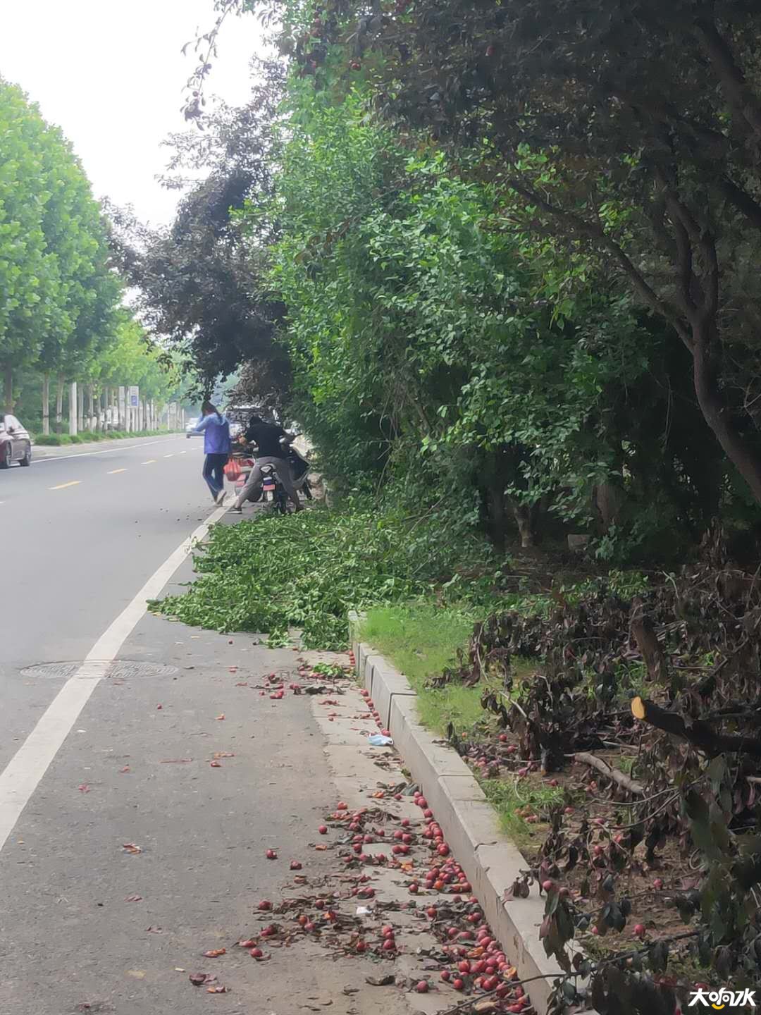 微信图片_20200619152255.jpg
