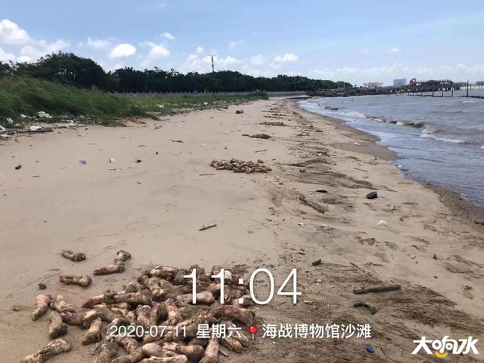 下载 (1).jpg