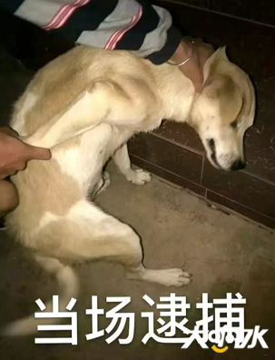 083924kmsicjenew3wfw28.png.thumb.jpg