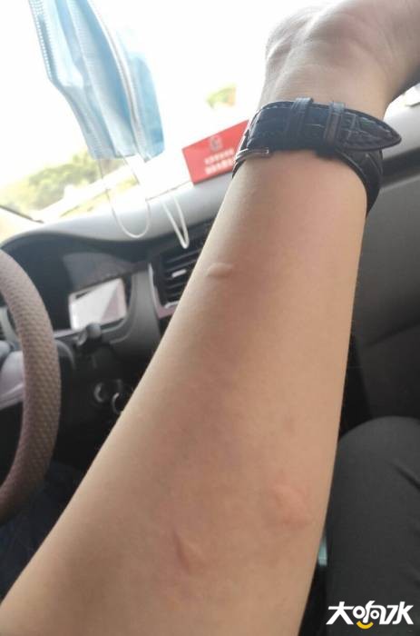 153043wh0rmo4nodqlzzdj.jpg.thumb.jpg