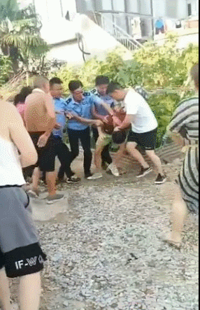 GIF3.gif
