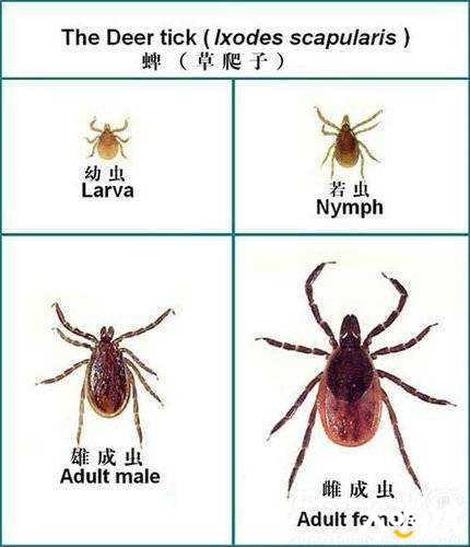 微信图片_20200807100041.jpg