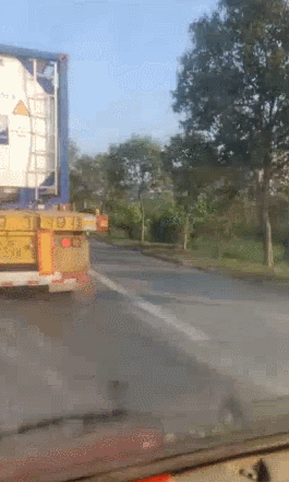 GIF.gif
