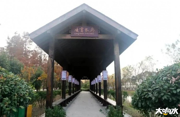 092922rc1ct2i5cl1qsbmk.jpg.thumb.jpg