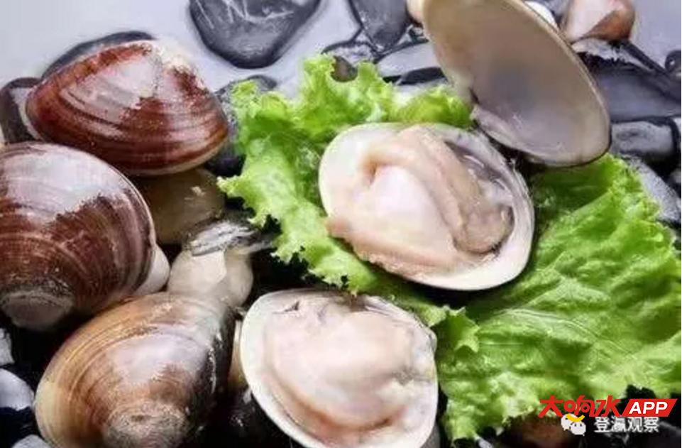 202012181608270070598_421.jpg