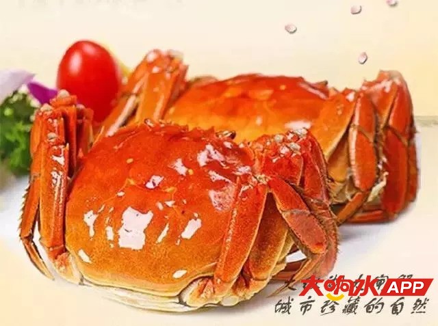 f7123160ece0fc6fed04fa9330de6b9e.jpg