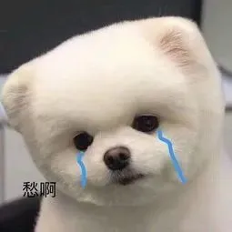 微信图片_20210114081018.png