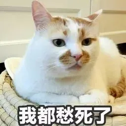 微信图片_20210114081041.png
