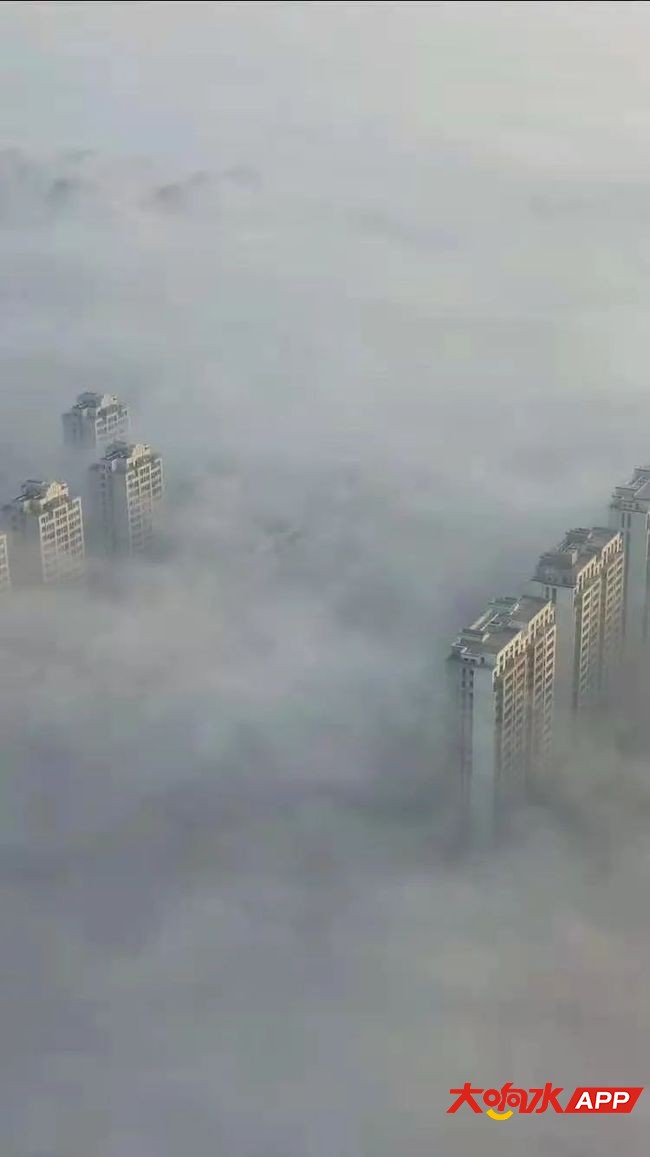 ?url=http%3A%2F%2Fdingyue.ws.126.net%2F2021%2F0213%2F6c4cf80ej00qofbpp000ud200ku0112g00it00xg.jpg