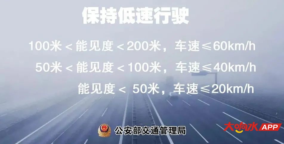 1000.jpg