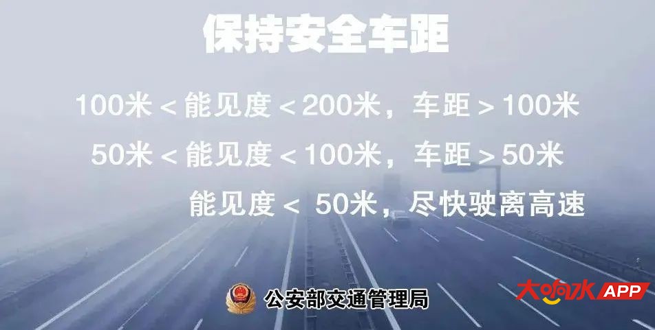 1000.jpg