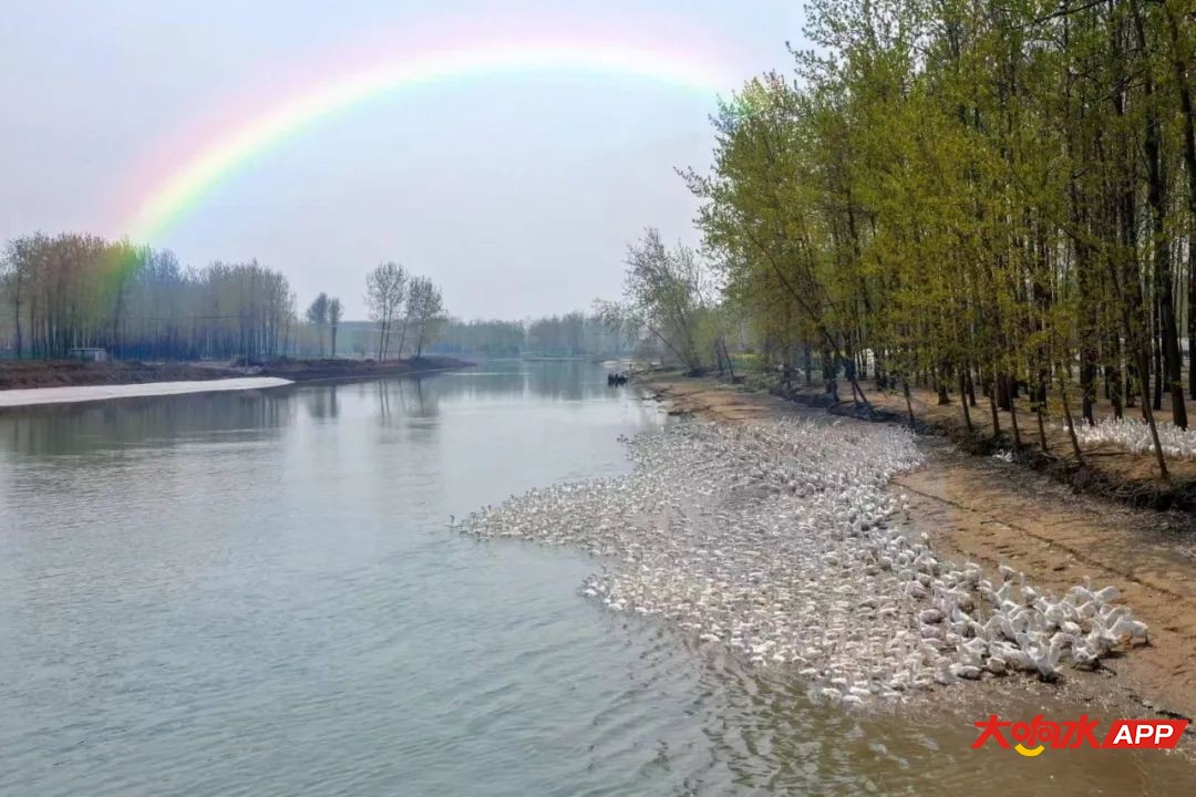 cd3eb038a816ba9102892afa079c5d56.jpeg