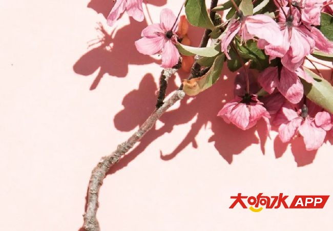 ?url=http%3A%2F%2Fdingyue.ws.126.net%2F2021%2F0309%2F5cfaa145j00qpnrlg0020d200rs00j9g00it00d1.jpg