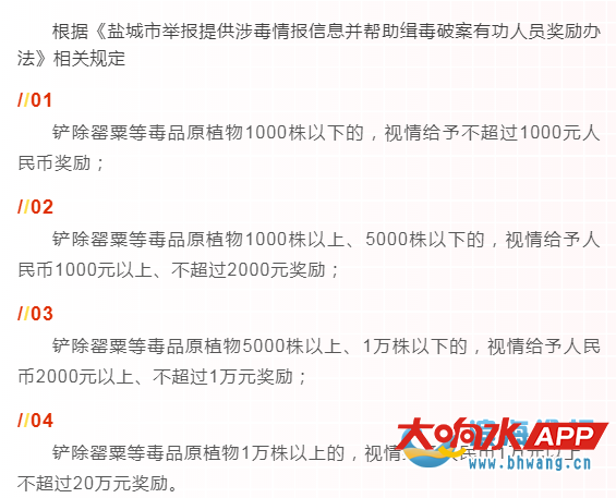 133115d17hnvossop44b7z.png