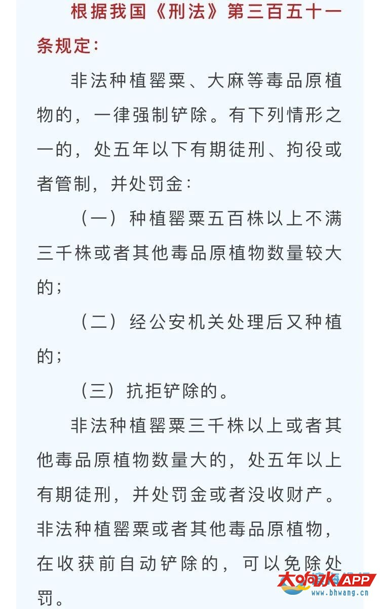 133114bardx97ph9rli3pr.jpg