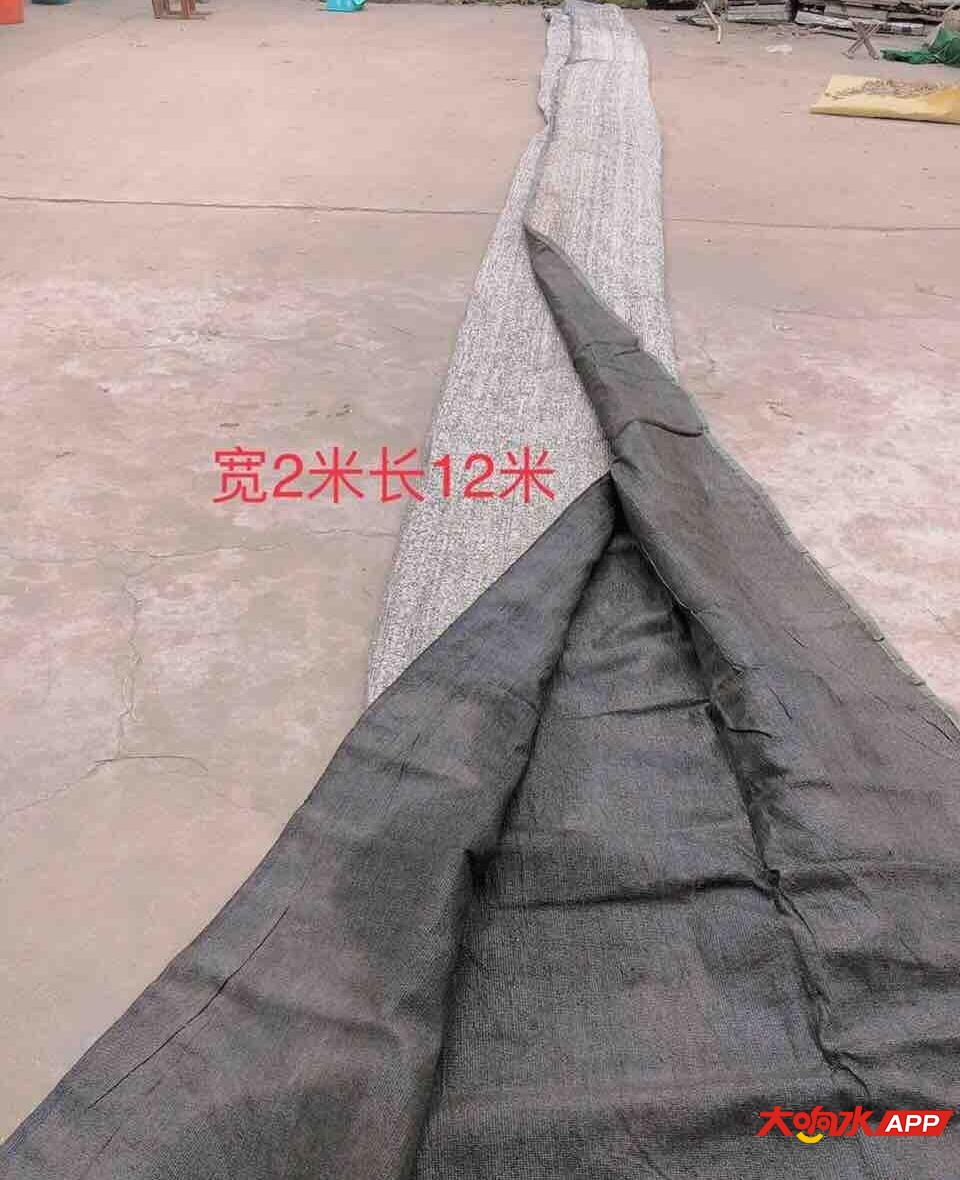 dc57a63fc13219a94194a7a0a130c9b3_960_1180.jpg