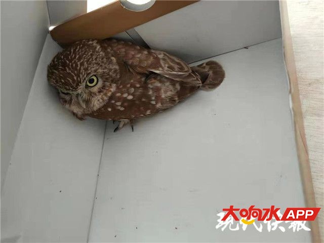?url=http%3A%2F%2Fdingyue.ws.126.net%2F2021%2F0409%2F4e78055cj00qratdw001ac000hs00dcg.jpg