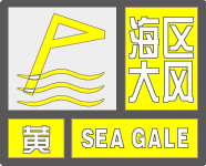 11B62_YELLOW.png
