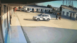 24cd8cd43c0dea932ee391009552f428.gif