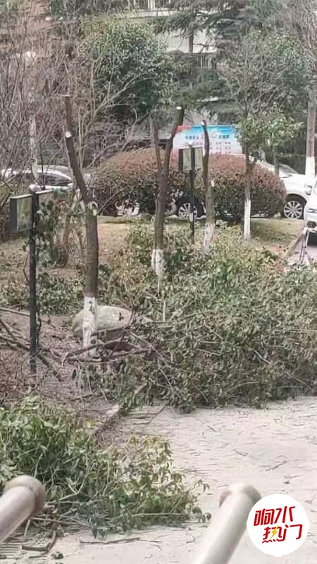 wechat_upload1679116283641547fb82bfb