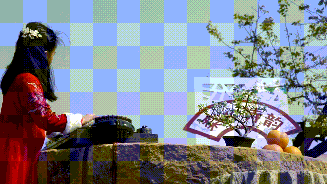 7b7a9821381312bc81204afd154061fc.gif