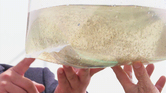 6c7897b3ab43844928f2f4ba91cb14d5.gif