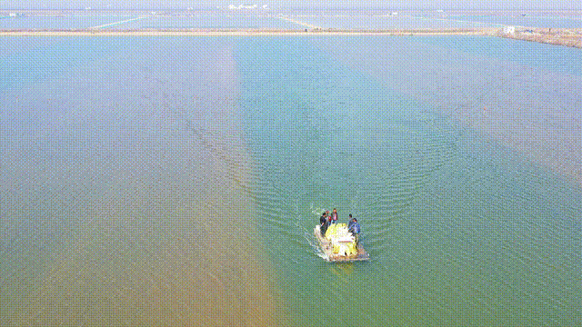237378ff669b4e763ff2384960aab164.gif