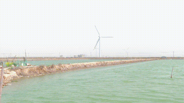 18552369faae50e99c13b8fa00723407.gif