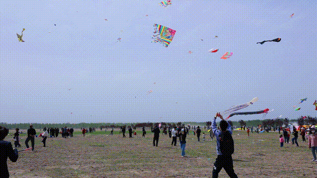 c15448407218ed6b5e651d9a67627595.gif