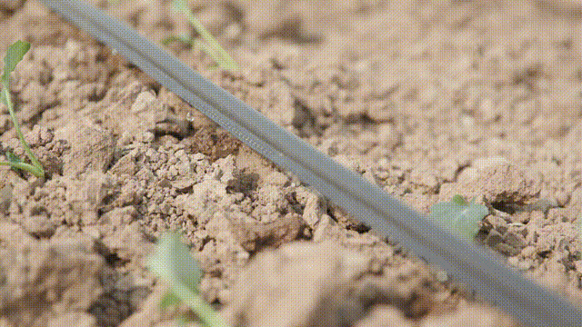 305e112cf4a08145d452a0f865d7f659.gif