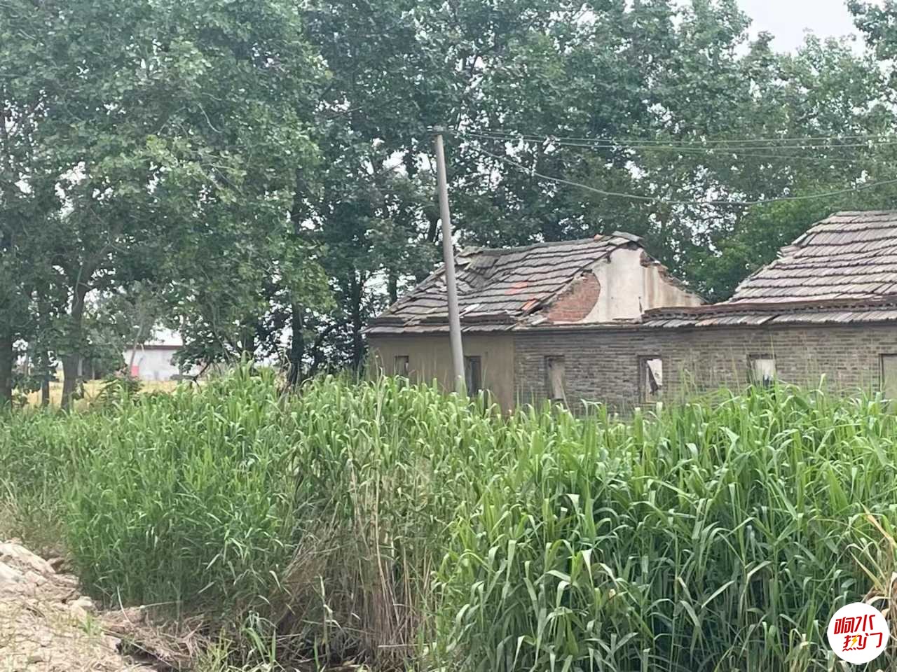 微信图片_20230525155454.jpg