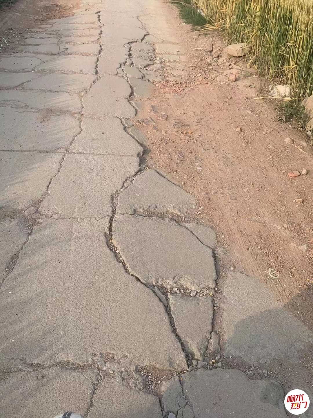 微信图片_20230531084241.jpg