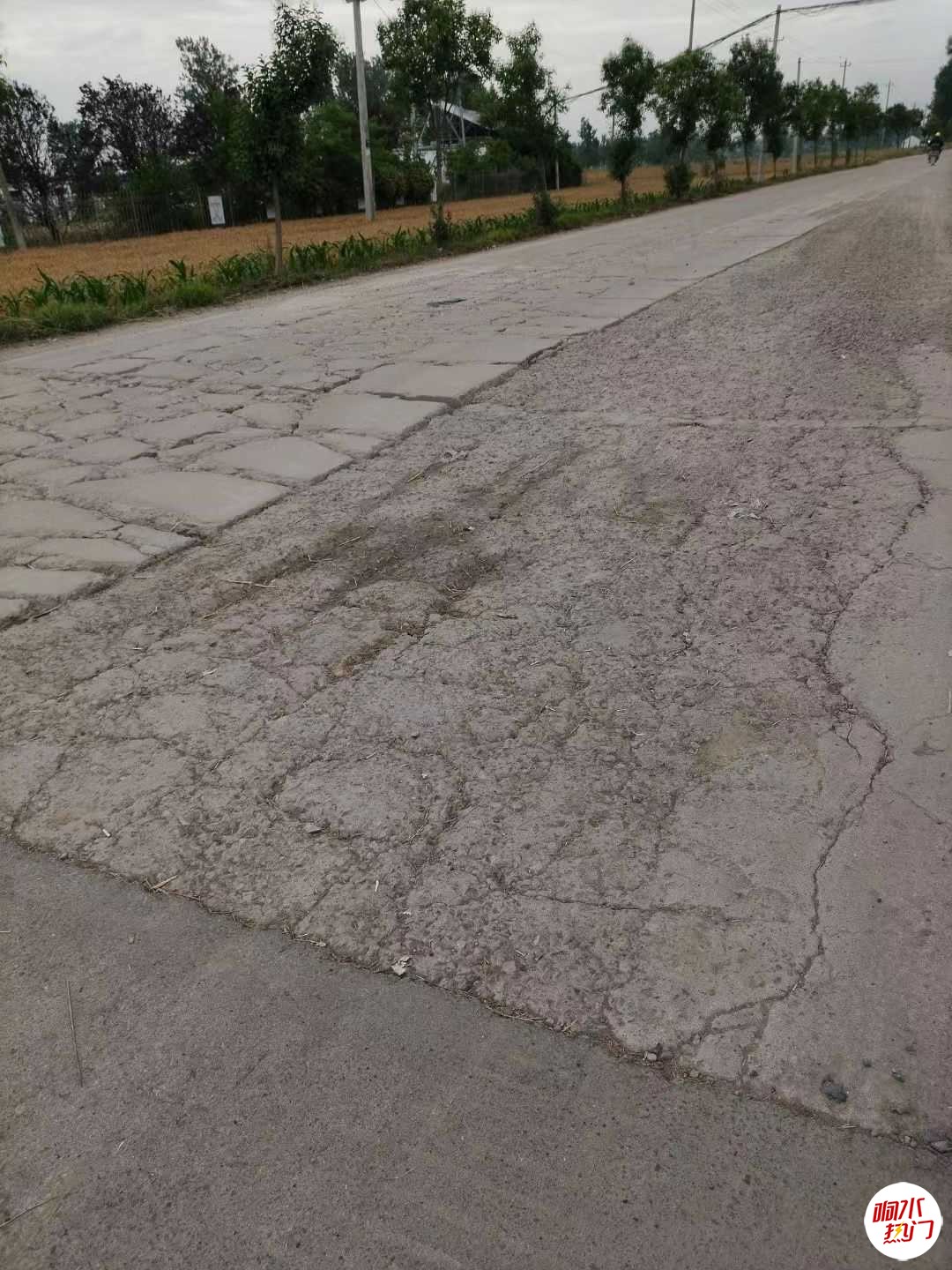 微信图片_20230606202533.jpg