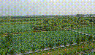 58bdb4583bc1572d66b3d620025e0491.gif