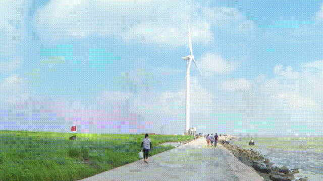 fc237c45ac3ddb61ccc4619bb04b5574.gif