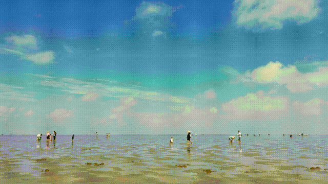 ff97a7aac3ac0788ea7dc5300bd08bf6.gif