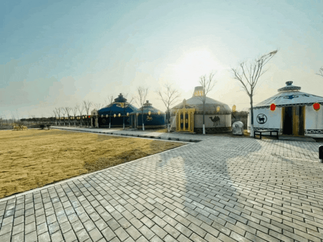 ea16fcdd789f7d2f11a7ba7c7b8f8610.gif