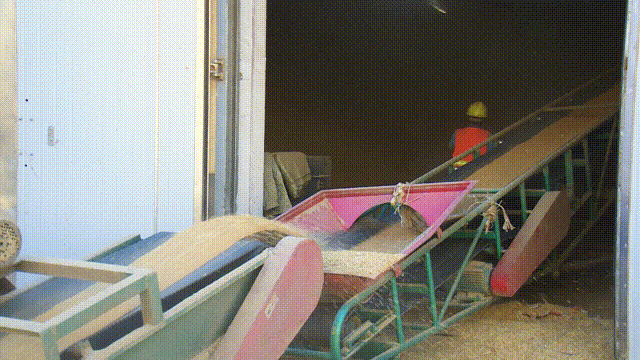 0bc789cb21d5cc5c2f1413bfd90f4ad2.gif