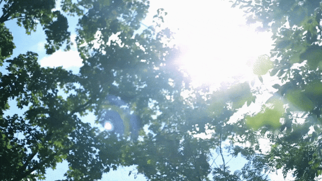 df559d794dbb33b322279e4dec718b24.gif