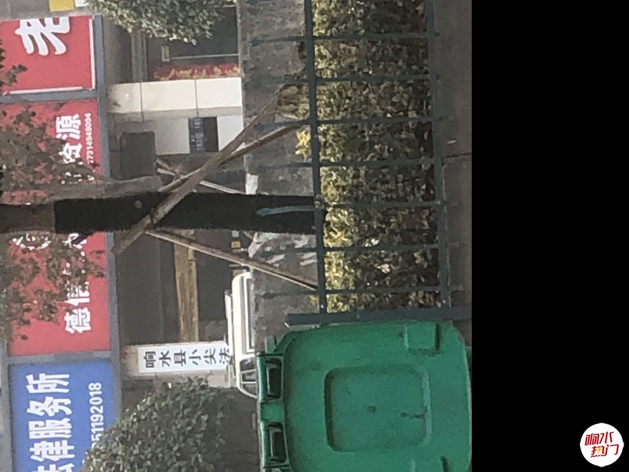 IMG_0495.jpeg