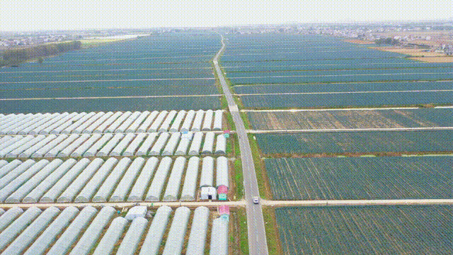 f94766be0aedd67328392c5b961dbb85.gif