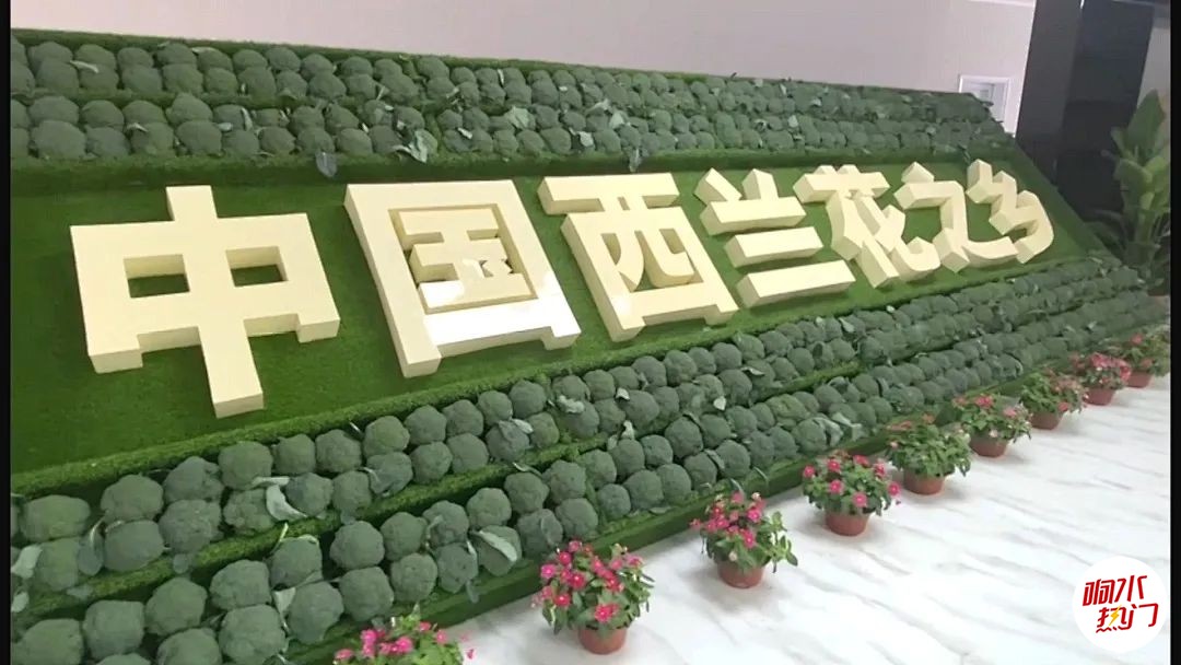 3dcaff8ef94f7455afe58e48c21a7274.jpg