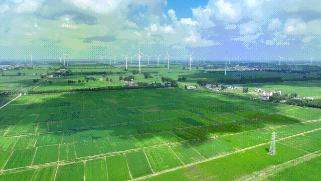 1593615b8b7852fbd8e00b8c4a70a4b5.gif