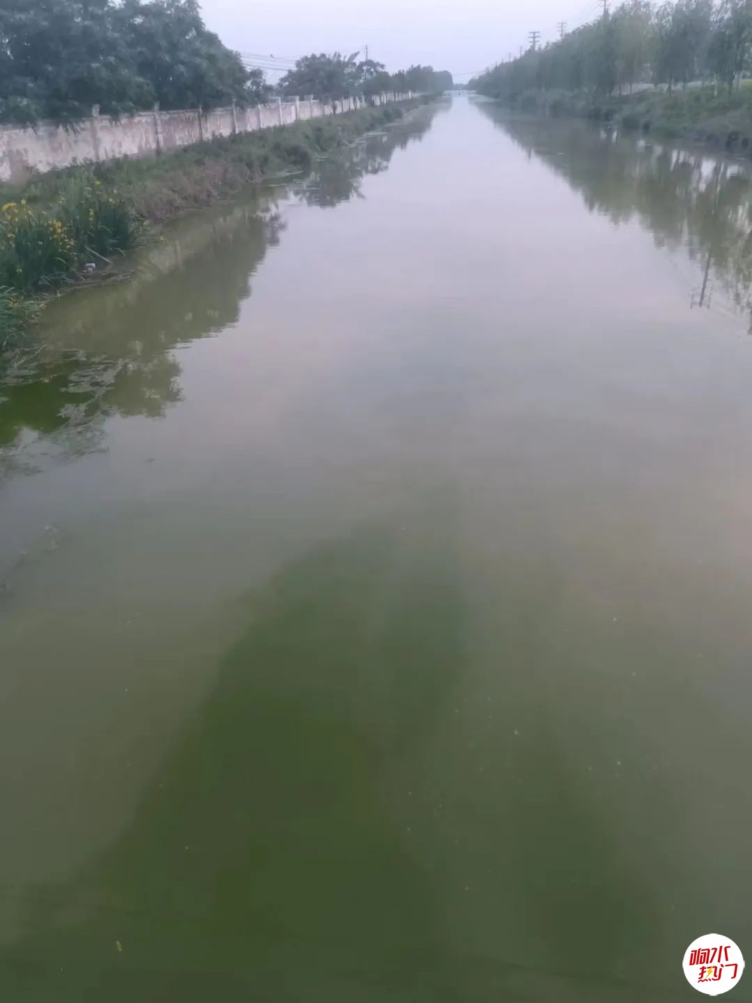 8fdd2e4d50a25546e043fa582e8dffad.jpg